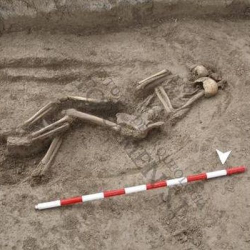 Restos óseos, Renedo, Valladolid