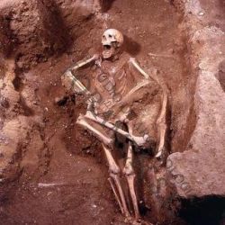 Restos óseos, San Benito (Valladolid)